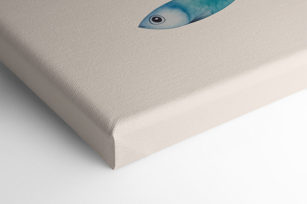 Group of fish with different colors