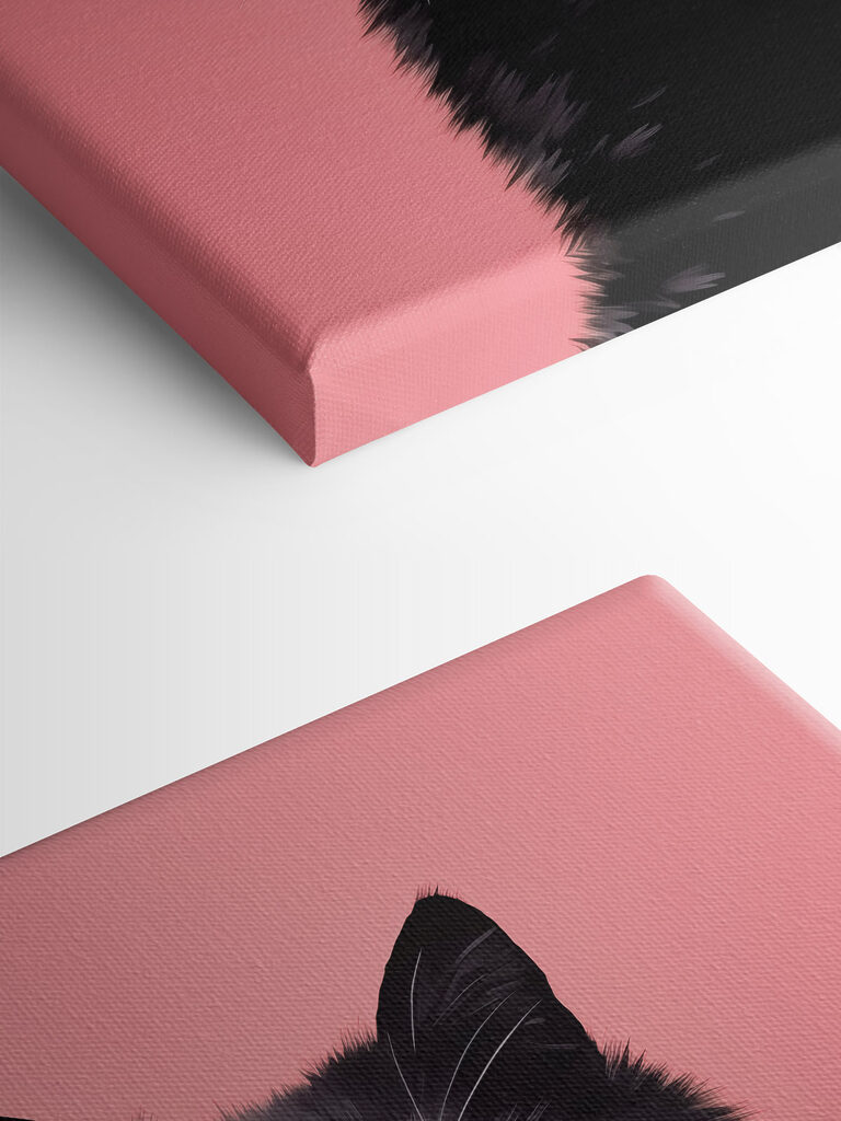 Black cat with pink eyes Black cat with pink eyes