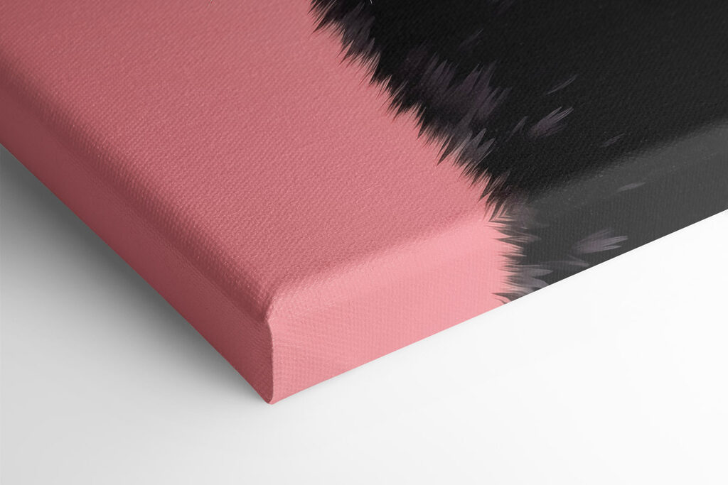 Black cat with pink eyes Black cat with pink eyes