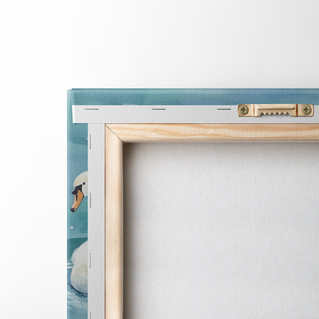 Two swans swimming in water