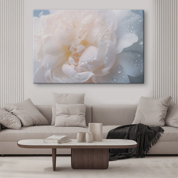 Delicate petals with glistening droplets