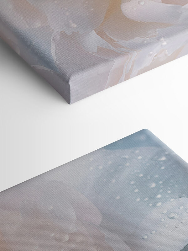 Delicate petals with glistening droplets