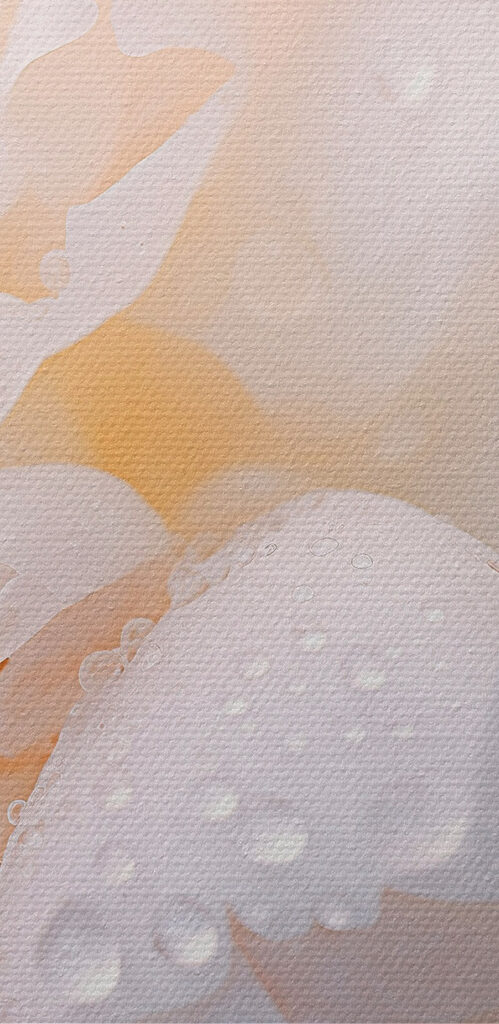 Delicate petals with glistening droplets