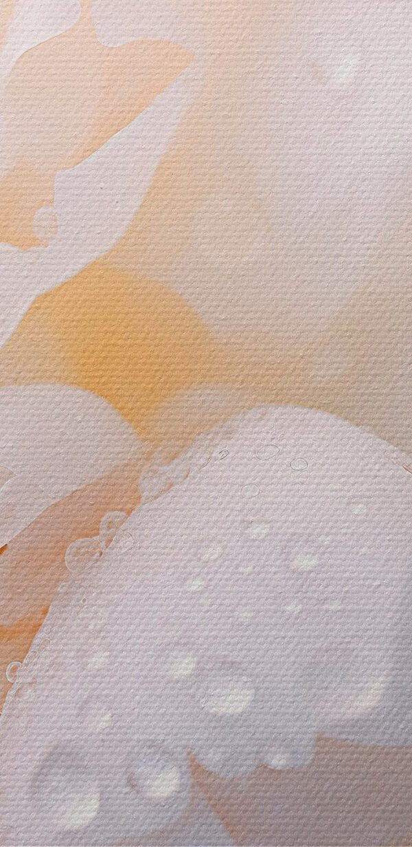 Delicate petals with glistening droplets