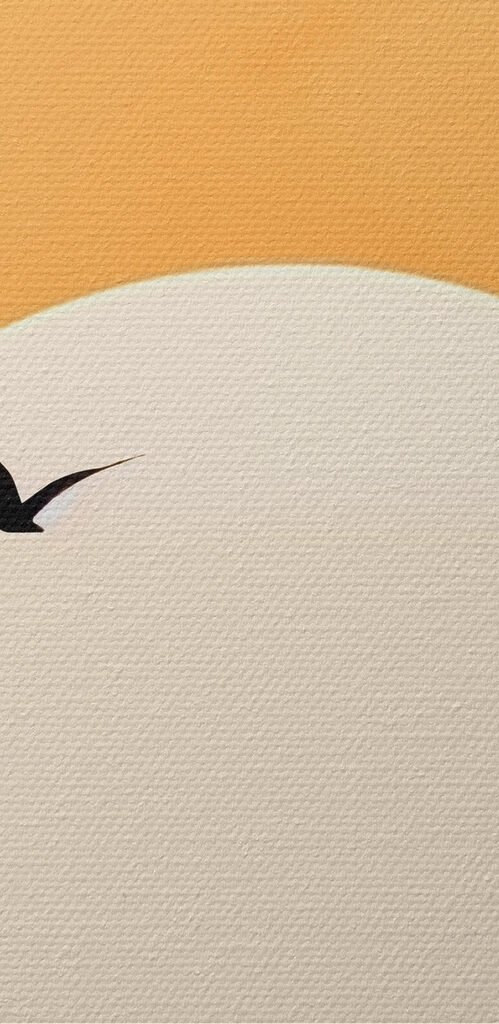 Bird flying in the sky Bird flying in the sky