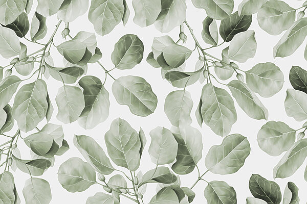 Nature’s serenity in leafy patterns Nature’s serenity in leafy patterns