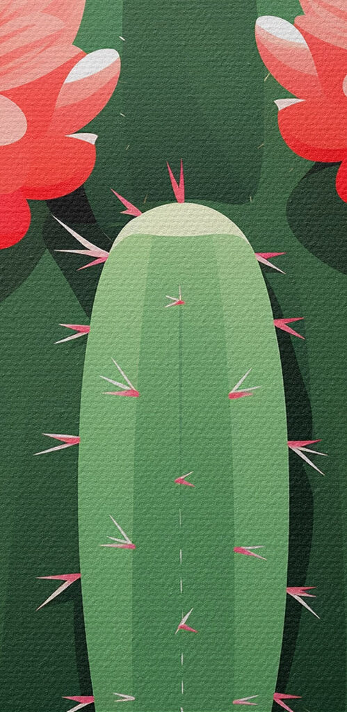 Cactus with pink flowers