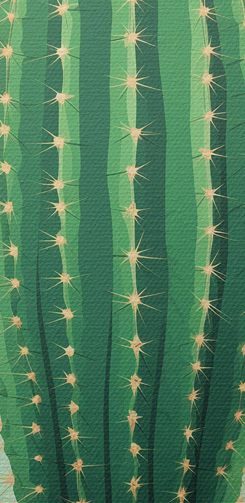 Cactus with a flower in it Cactus with a flower in it