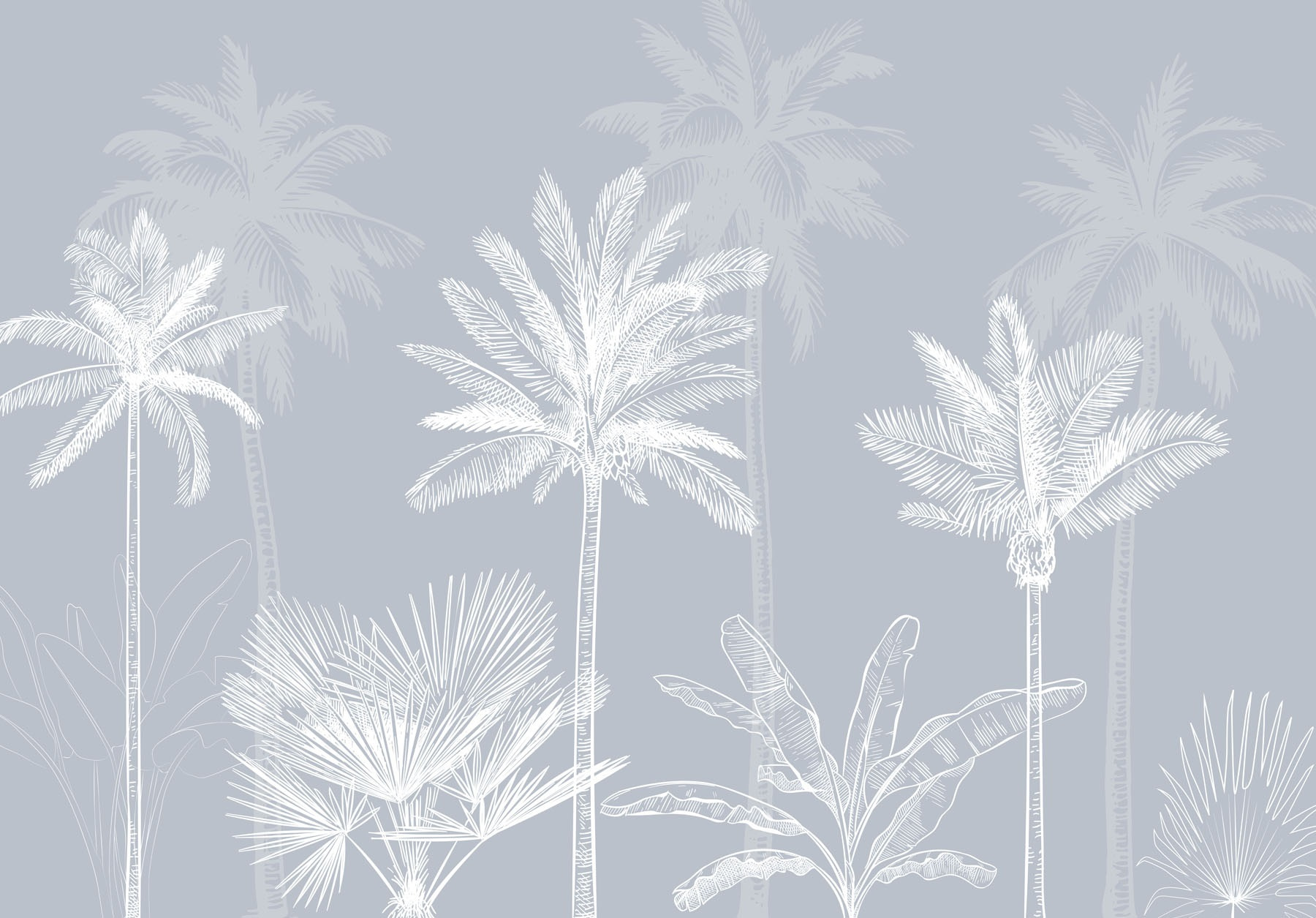 Group of palm trees