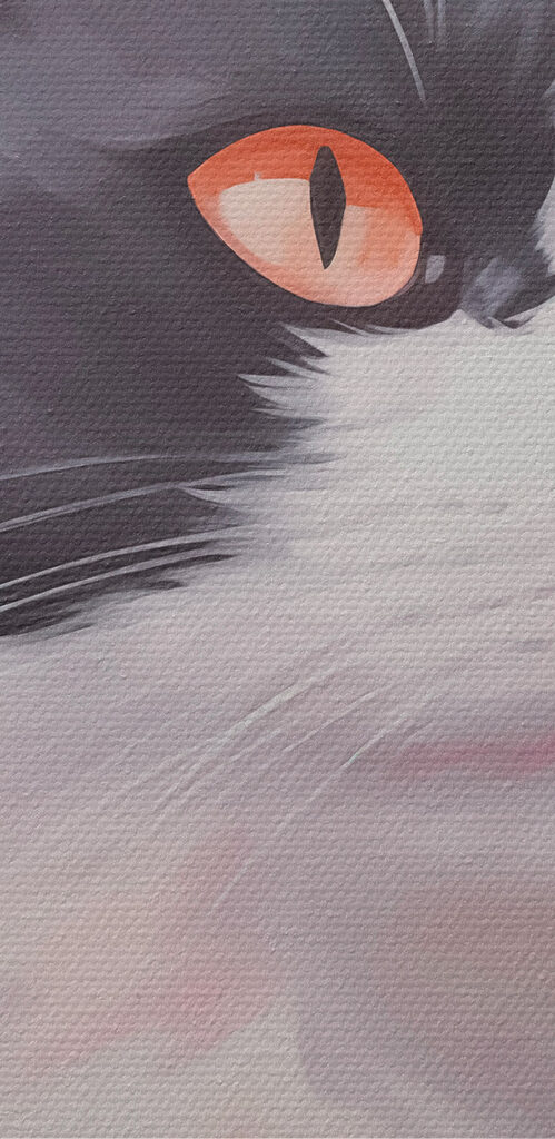 Black and white cat with orange eyes