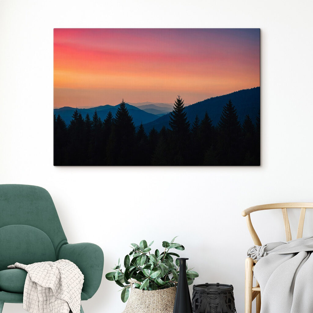 Group of trees in a forest