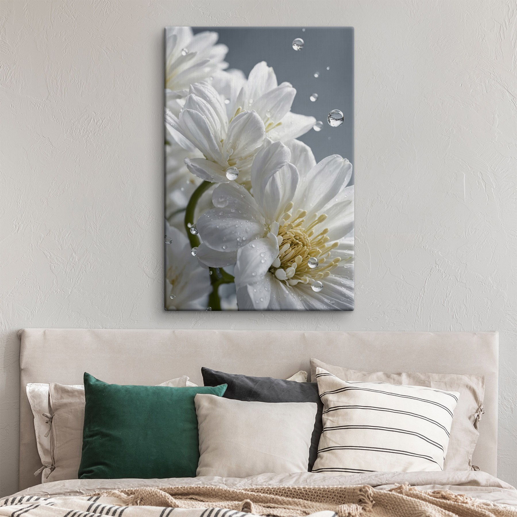 Delicate petals with morning dew Delicate petals with morning dew