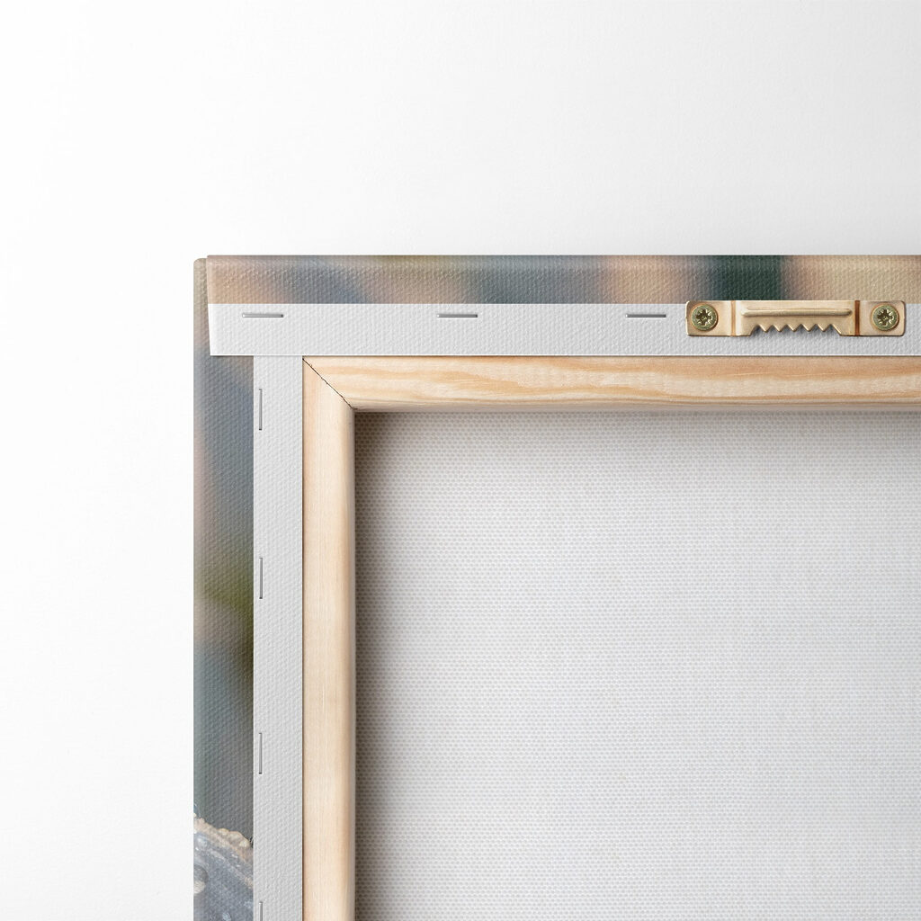 Delicate petals adorned with droplets Delicate petals adorned with droplets