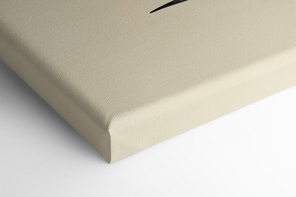 Black cat with whiskers