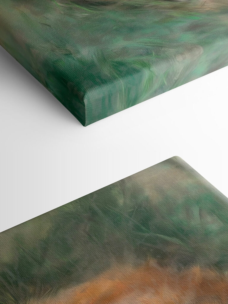 Fox sleeping in the grass Fox sleeping in the grass