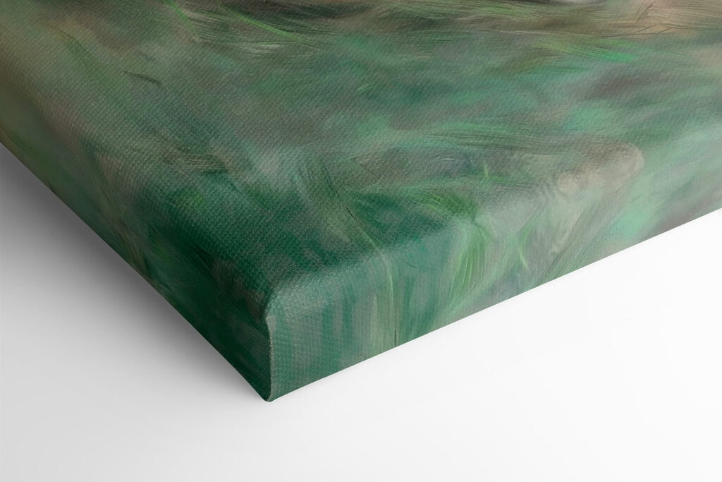 Fox sleeping in the grass Fox sleeping in the grass