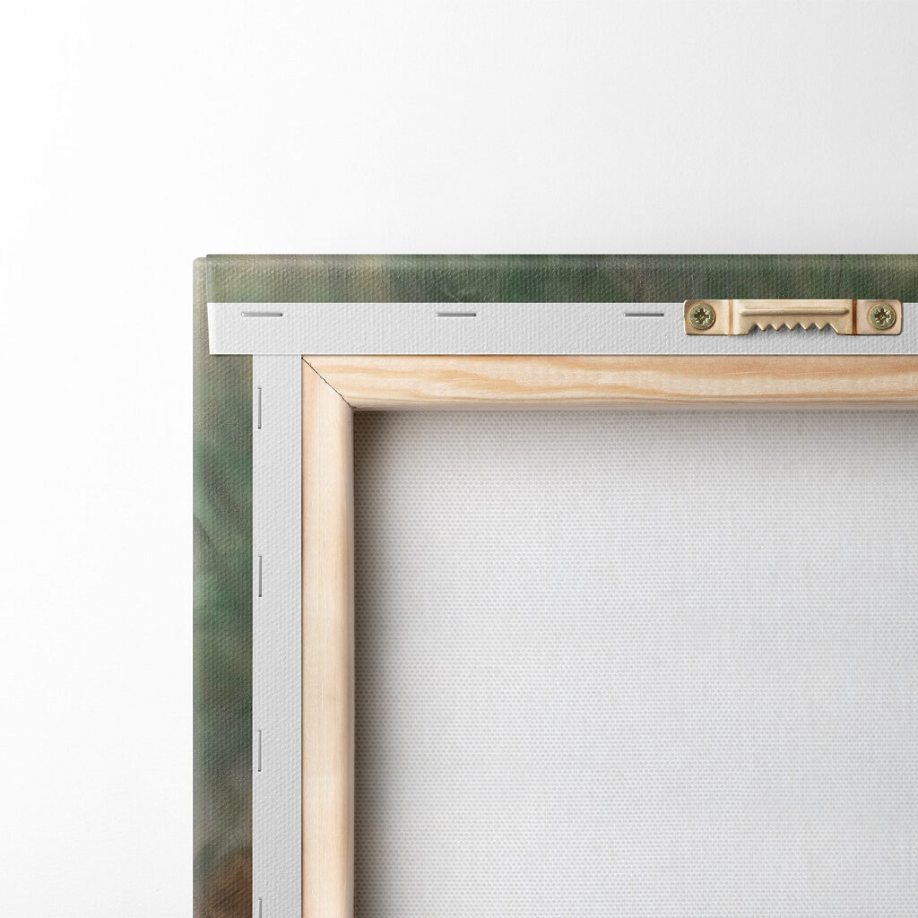 Fox sleeping in the grass Fox sleeping in the grass