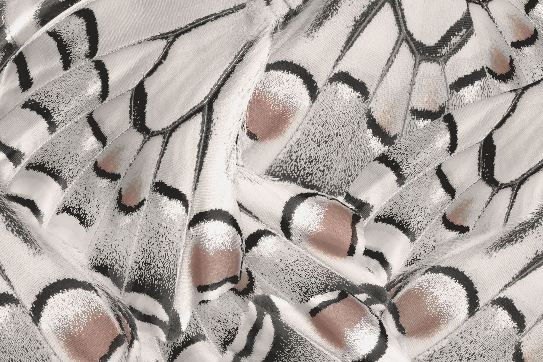 Intricate patterns in delicate fabric Intricate patterns in delicate fabric