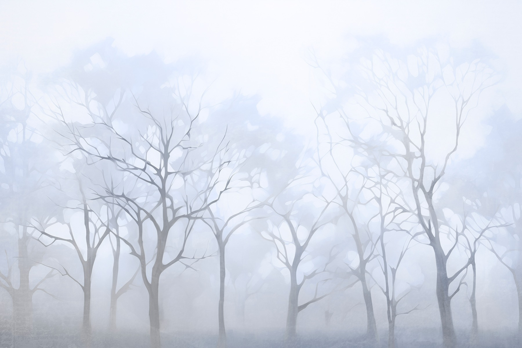Group of trees in fog