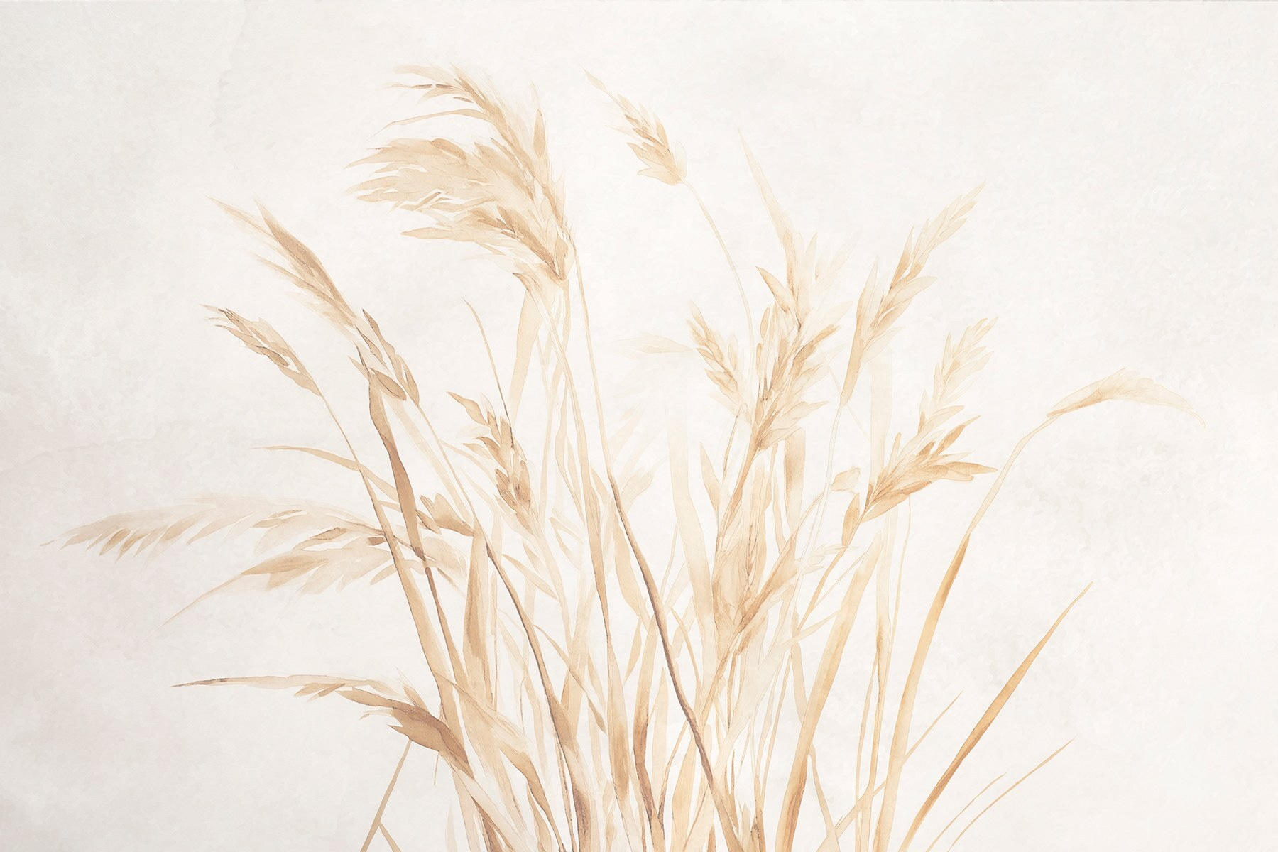 Delicate grasses against a soft background Delicate grasses against a soft background