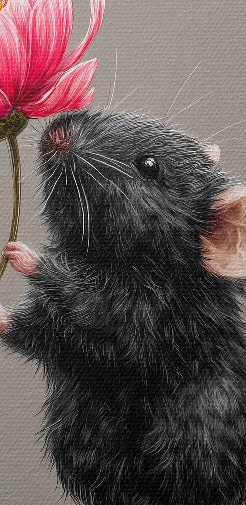 Mouse holding a flower Mouse holding a flower