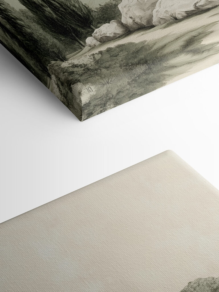 Group of trees on a hill