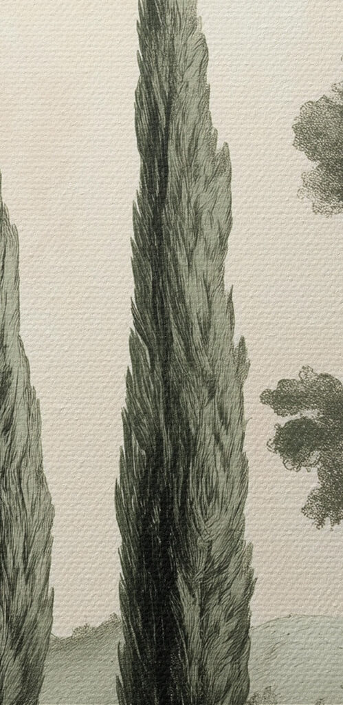 Group of trees on a hill