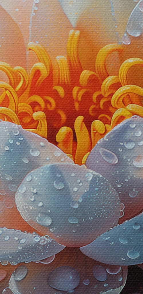 White flower with water drops on it