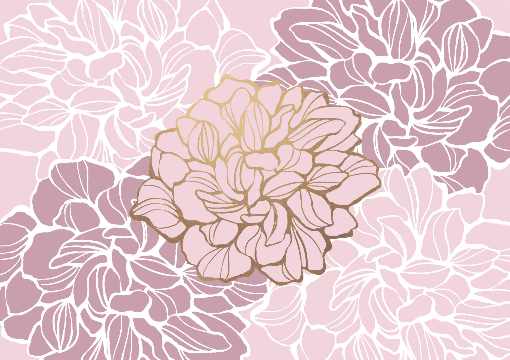 t00003v1p - Рожево-біла квітка - tegory