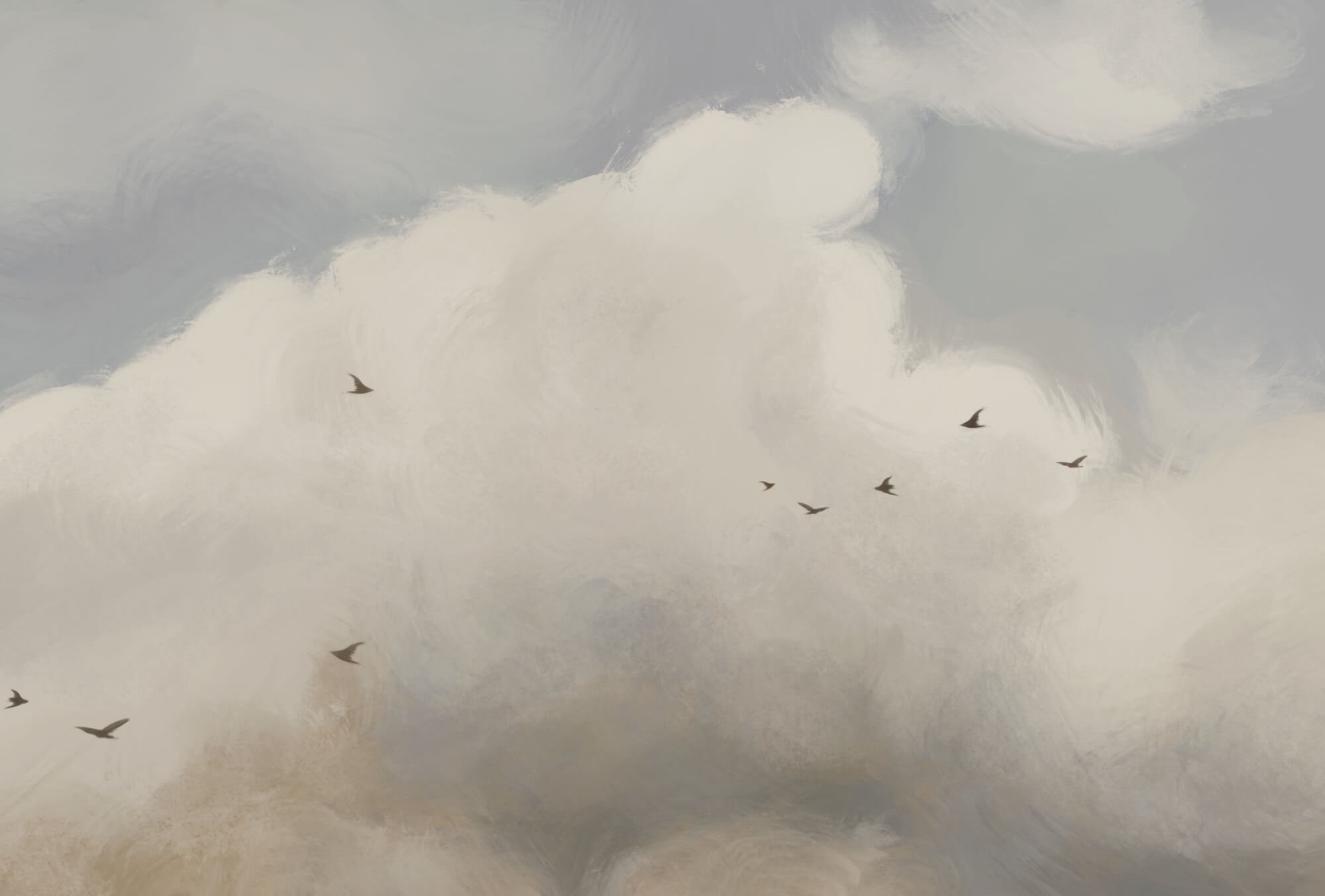 Birds flying birds in the sky