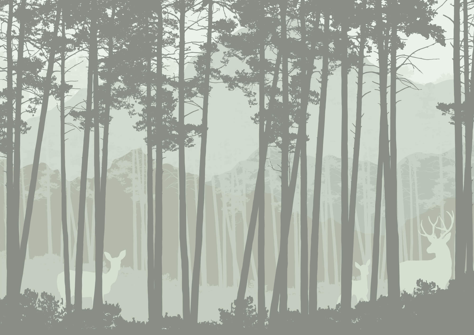 Group of trees in a forest Group of trees in a forest