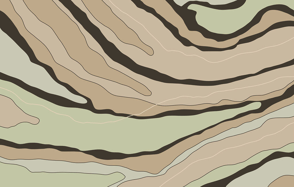 Abstract lines in warm earth tones