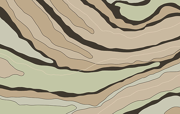 Abstract lines in warm earth tones