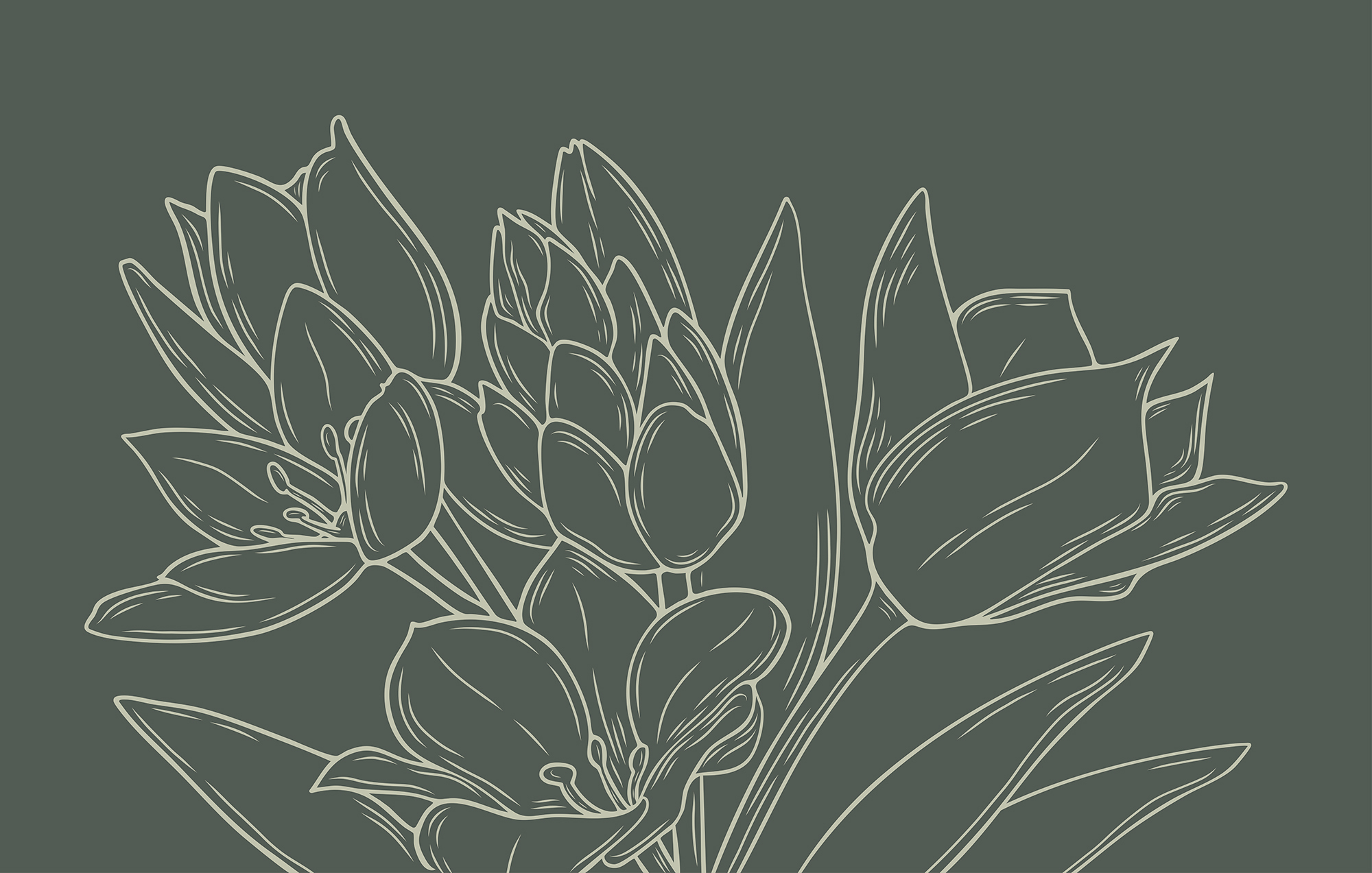 Drawing of flowers on a plant