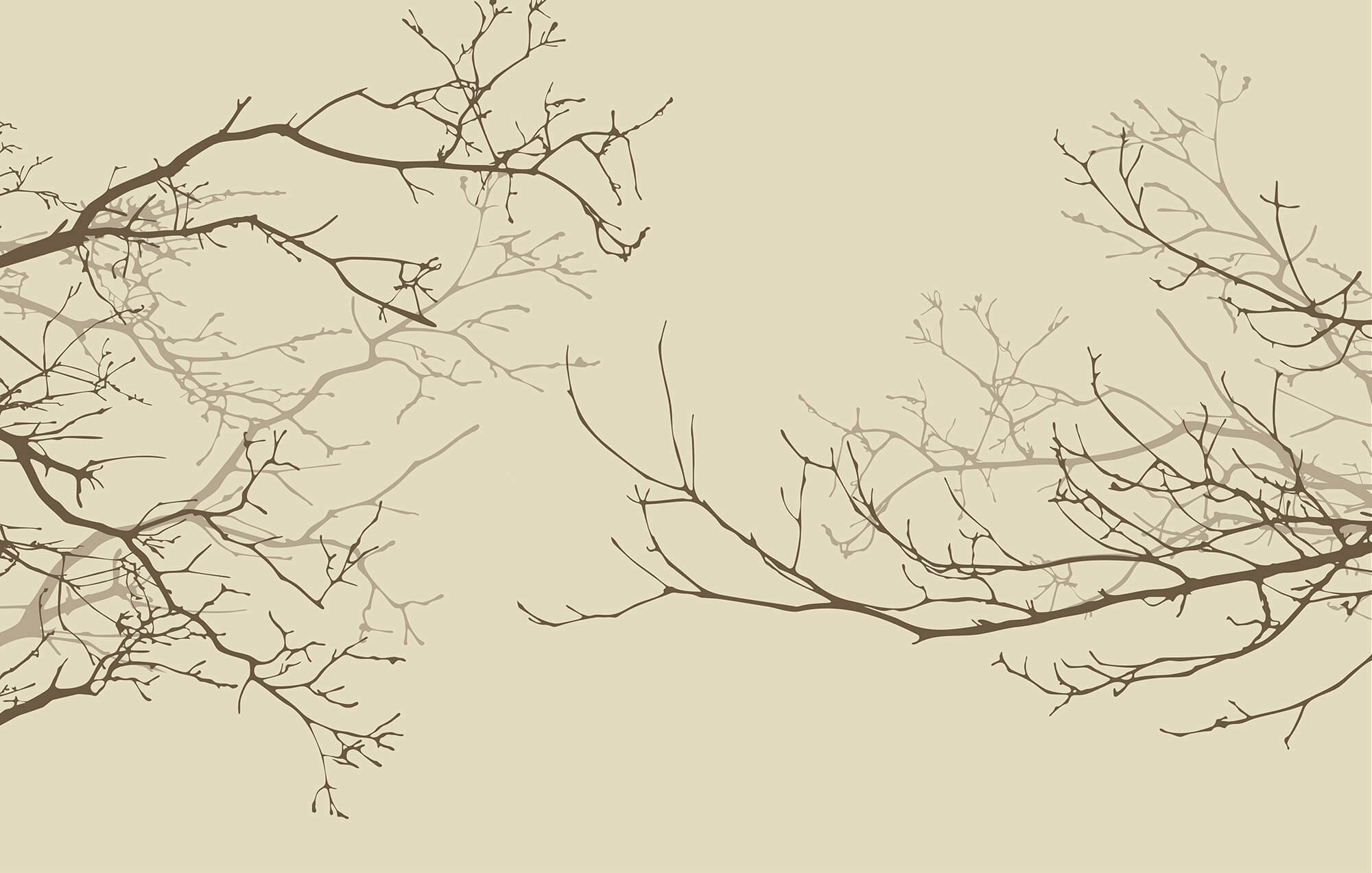 Group of bare branches