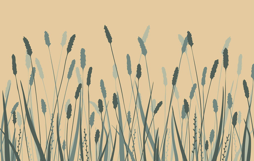 Gentle waves of green swaying gracefully