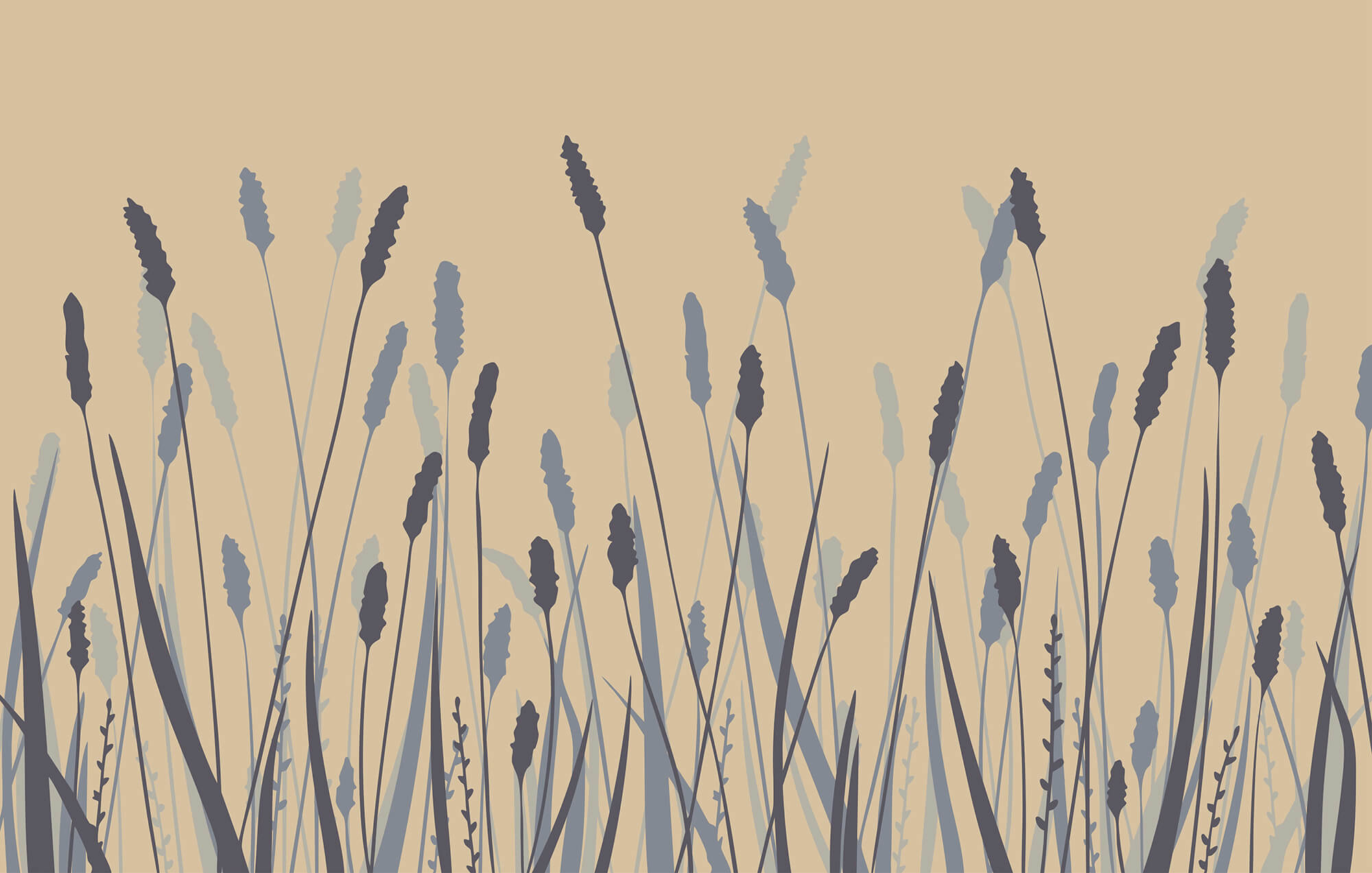 Soft hues of nature's beauty Soft hues of nature's beauty