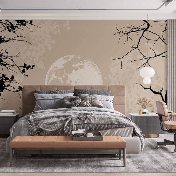 Місяць у небі