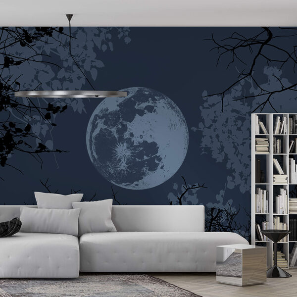 Місяць у небі