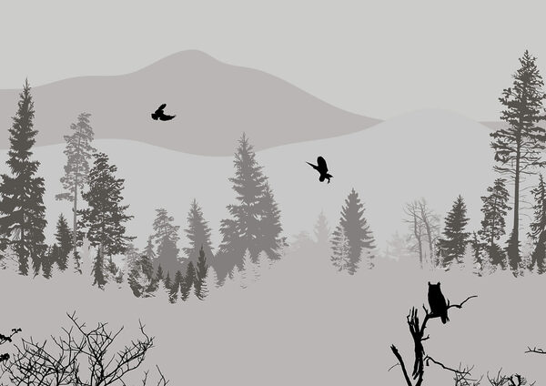 Birds flying over a snowy mountain Birds flying over a snowy mountain