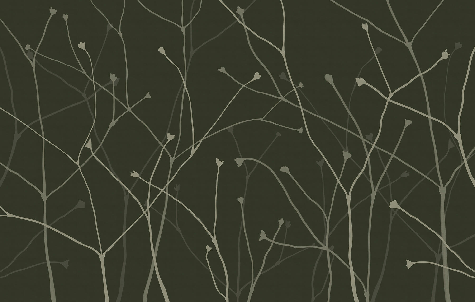 Delicate branches on a dark backdrop