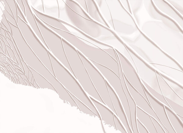 White lines on a white surface