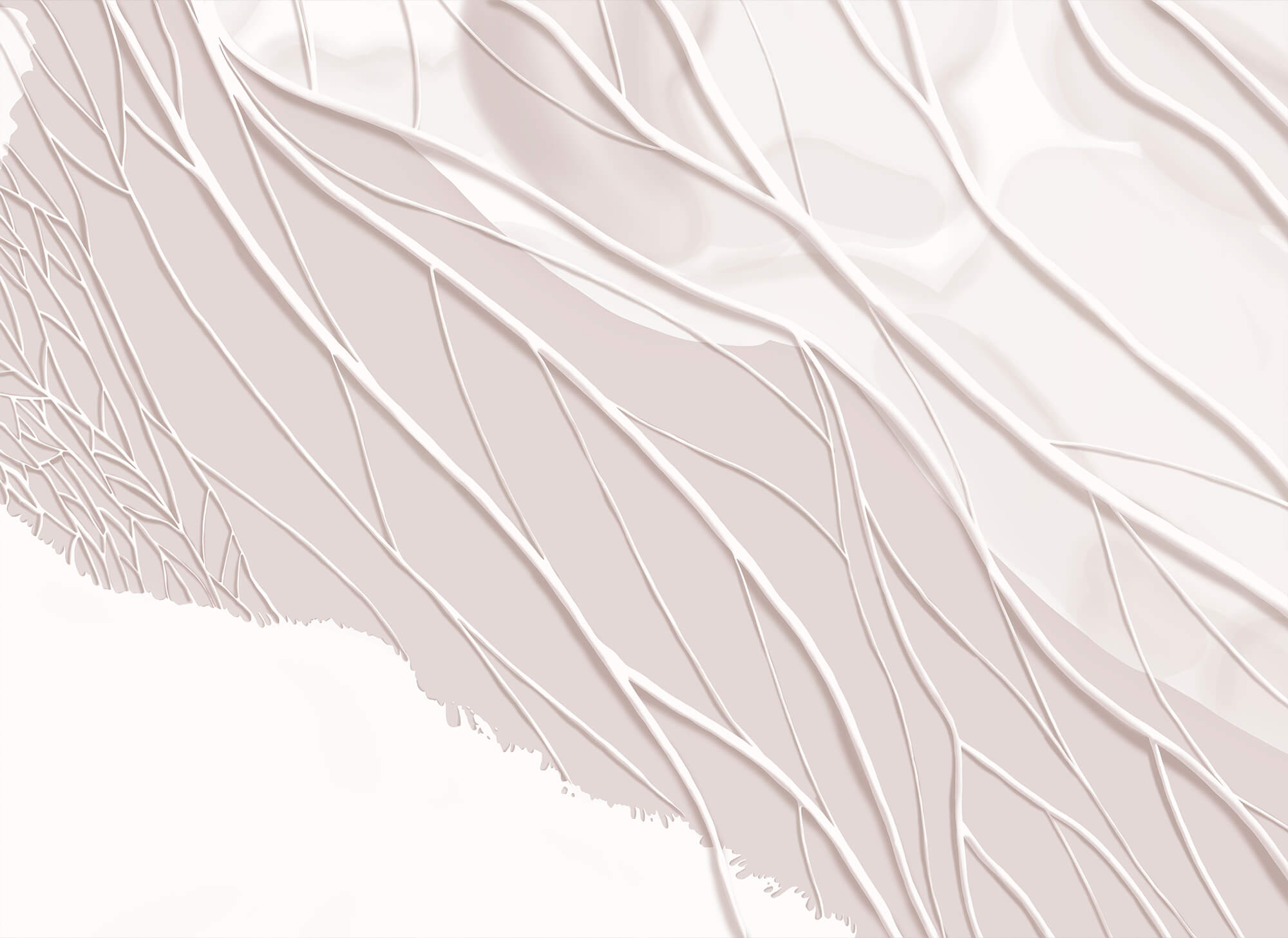 White lines on a white surface