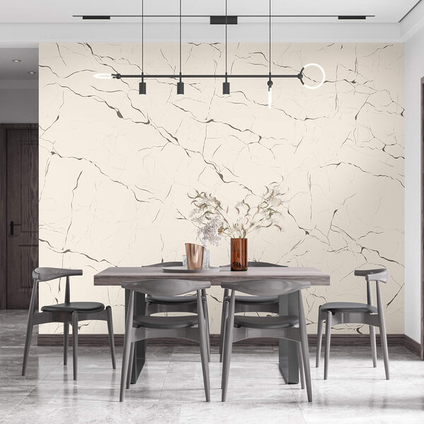 Біла поверхня з тріщинами Біла поверхня з тріщинами