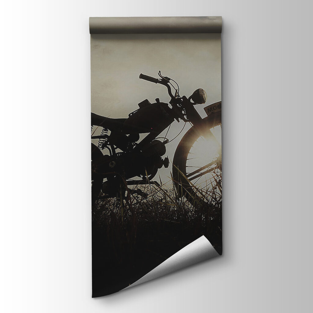 Motorcycle in a field