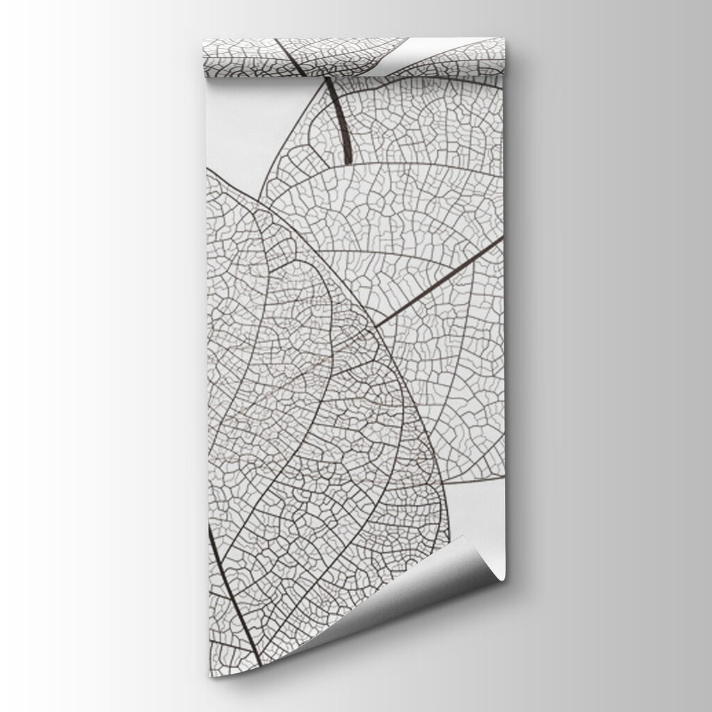 Delicate leaf patterns in white space