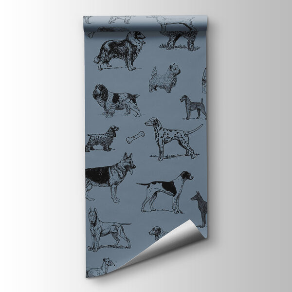 Group of dogs on a blue background