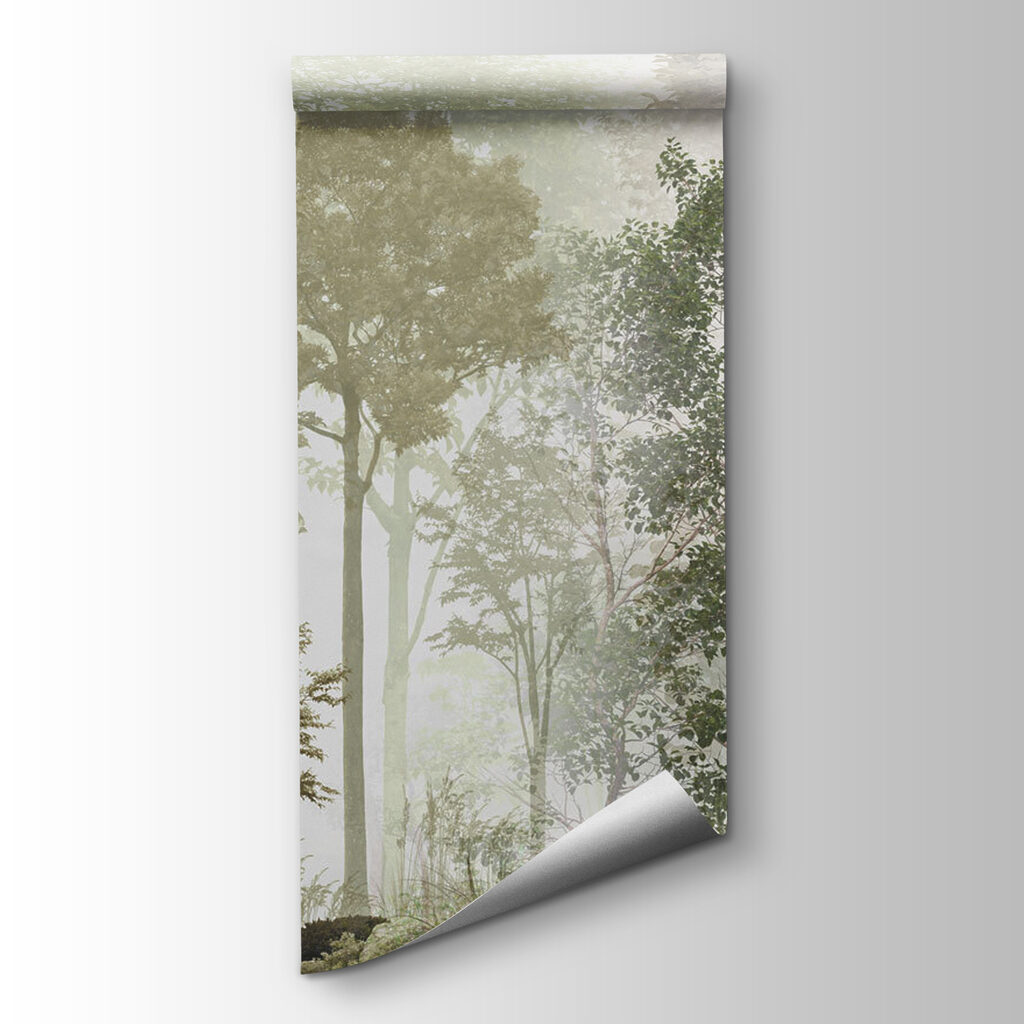 A group of trees in a foggy forest A group of trees in a foggy forest