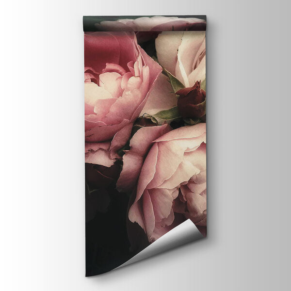 Group of pink and white roses