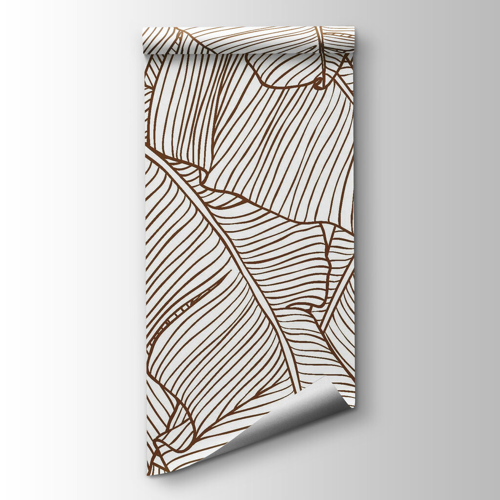 Natural patterns in elegant simplicity Natural patterns in elegant simplicity